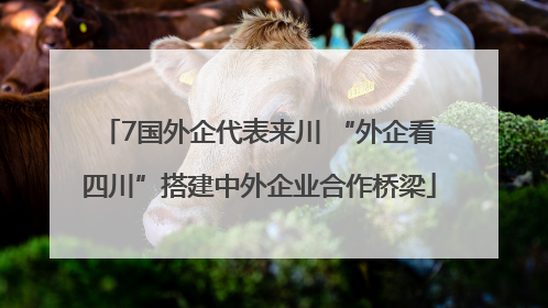 7国外企代表来川 “外企看四川”搭建中外企业合作桥梁