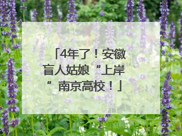 4年了！安徽盲人姑娘“上岸”南京高校！