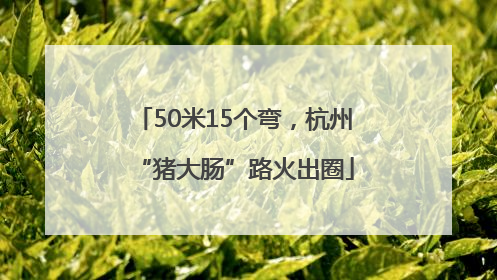 50米15个弯，杭州“猪大肠”路火出圈