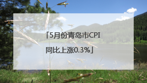 5月份青岛市CPI同比上涨0.3%