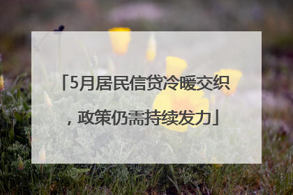 5月居民信贷冷暖交织，政策仍需持续发力