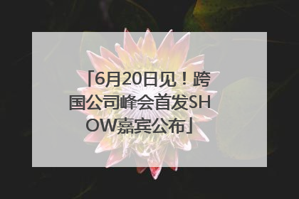 6月20日见！跨国公司峰会首发SHOW嘉宾公布