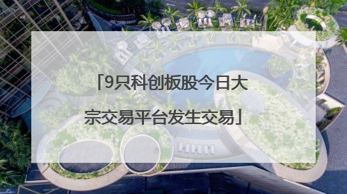 9只科创板股今日大宗交易平台发生交易