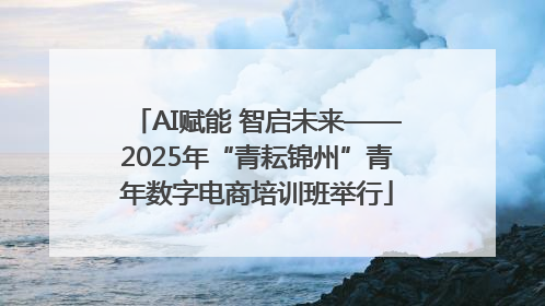 AI赋能 智启未来——2025年“青耘锦州”青年数字电商培训班举行