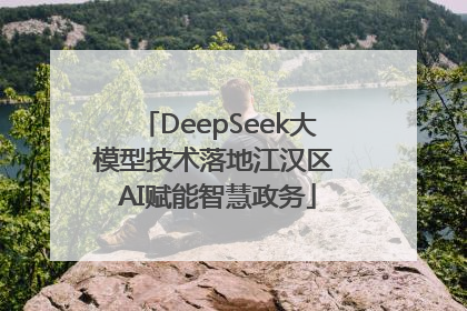DeepSeek大模型技术落地江汉区 AI赋能智慧政务