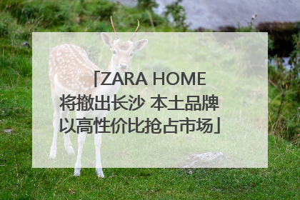 ZARA HOME将撤出长沙 本土品牌以高性价比抢占市场
